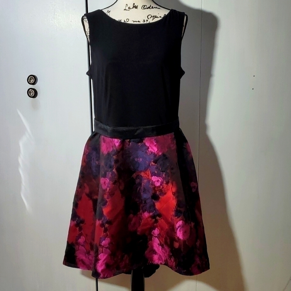 Roz & Ali |Black Pink Reds Dark Floral Fit & Flare Dress Chic Dance Sz.16